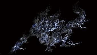 黑兽在线观看,探寻神秘生物的惊悚之旅