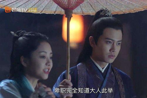 电视剧锦衣之下全集在线观看免费,揭秘明朝锦衣卫的传奇故事