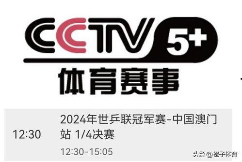 cctv9在线直播,实时洞察世界风云变幻