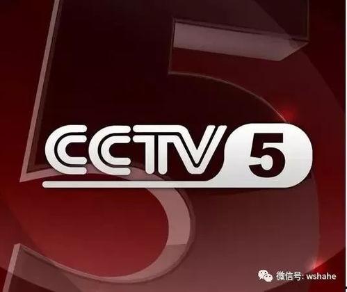 cctv5在线直播观看,精彩赛事实时呈现