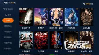 中央3台在线直播观看高清,尽享高清视听盛宴